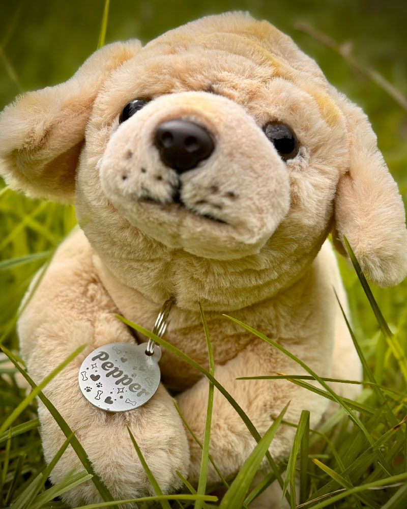 Pepper pet tag on a cute toy puppy in the grass