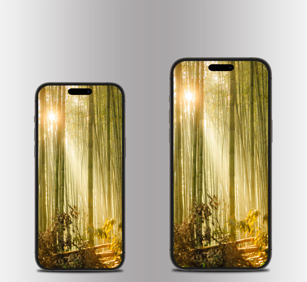 Bamboo Forest Ray of Light | Mobile Wallpaper