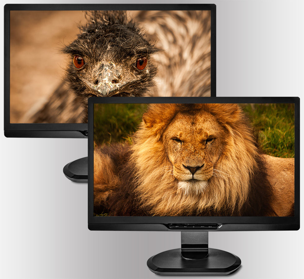 Thumbnail: Creatures and Critters 2.0 | 4K Wallpaper Pack