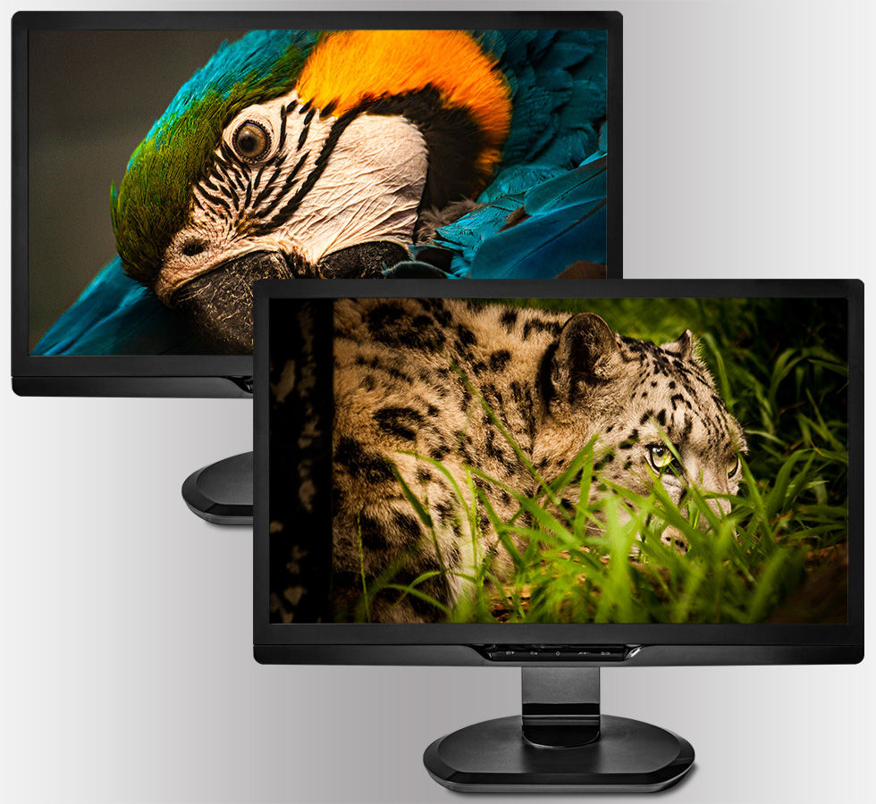 Thumbnail: Creatures and Critters 1.0 | 4K Wallpaper Pack