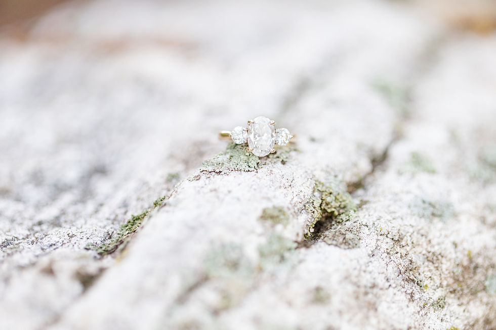 engagement ring on mossy rock