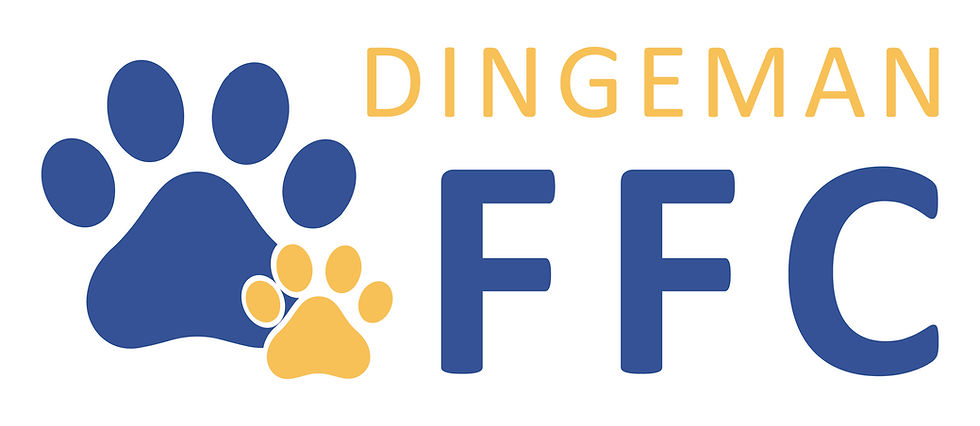 Dingeman_FFC__Full_Color.jpg