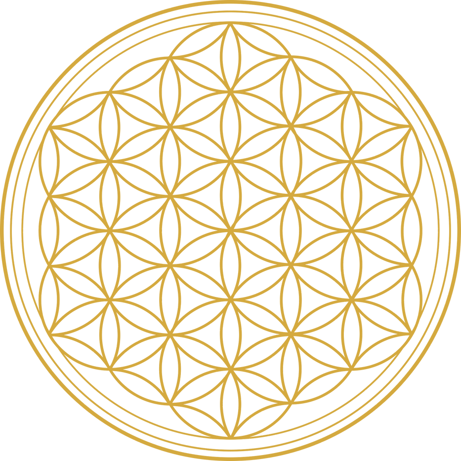 doreen_kinistino-flower-of-life-2648527_1920.png