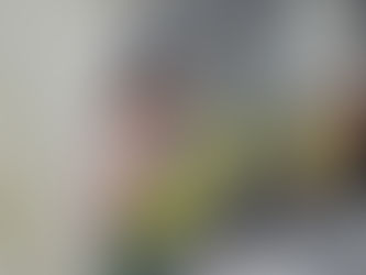 Services Offered by Residential Cleaning Companies