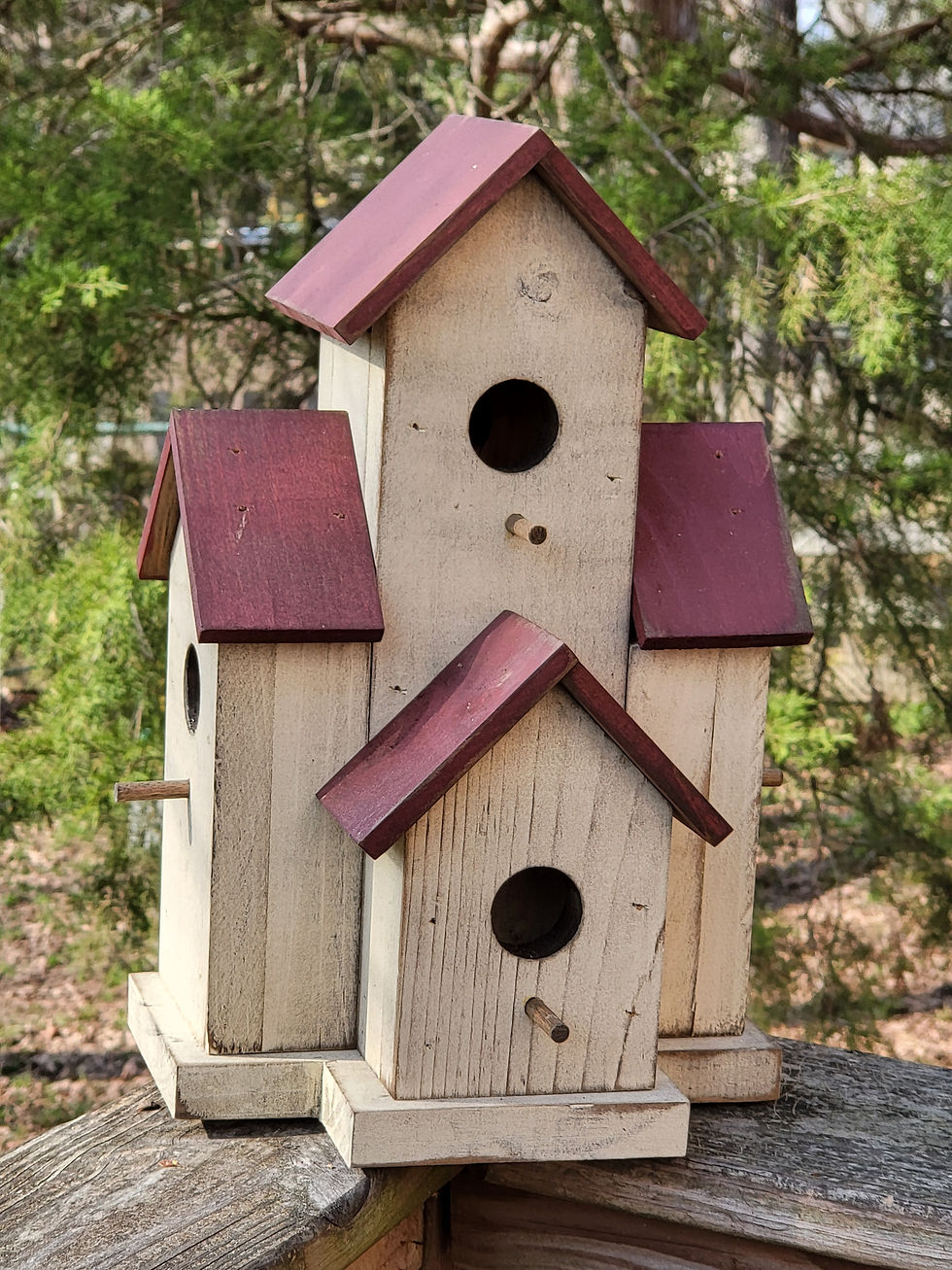 Thumbnail: Small Condo Birdhouse