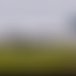 Azul não tem mais Airbus A320neo a receber; último foi entregue em 2024