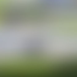 LATAM Airlines Cria Novo Cargo Para Fortalecer Sua Marca na América do Sul