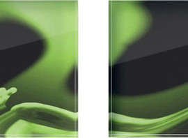 Omnisex (set of 4), face mounted photo on a 6" x 6" acrylic block 1" thick