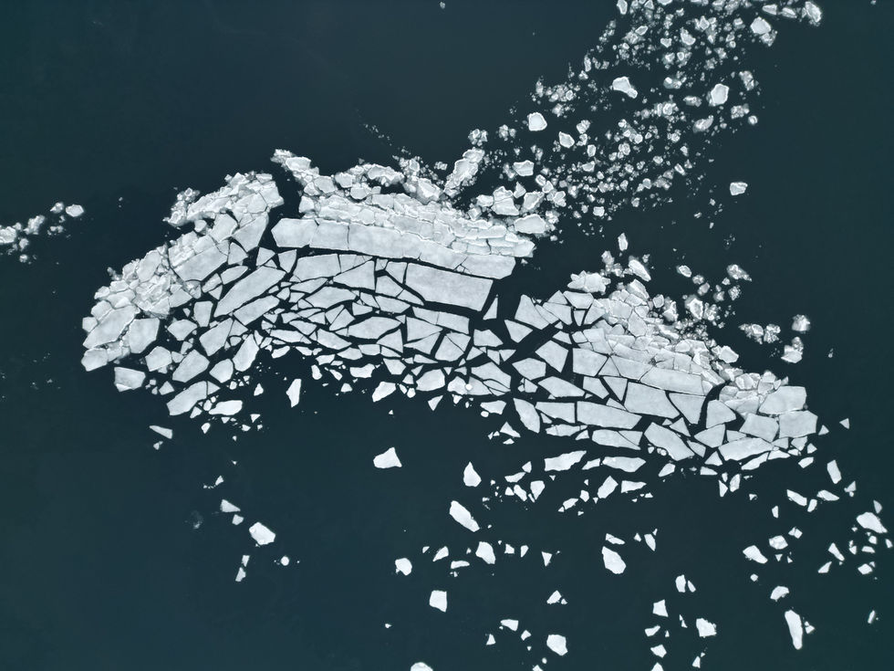 dji_fly_20230302_072952_207_1677848151597_photo