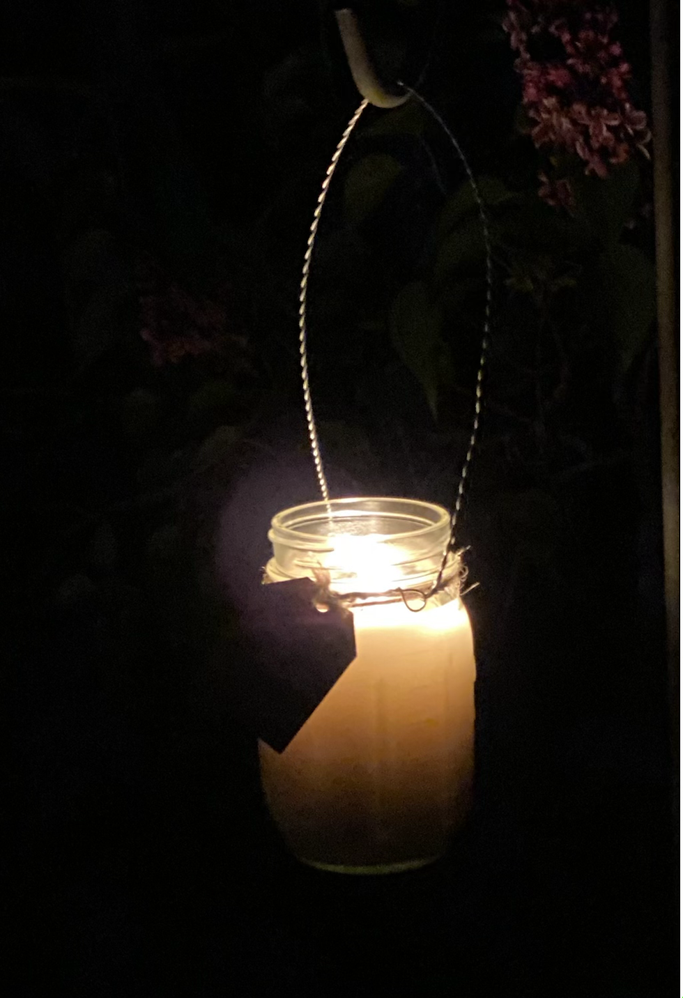 Thumbnail: hanging citronella