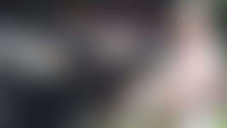 Panaca: viaje al maravilloso mundo del campo