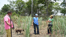 Sembrando ideas para cosechar bienestar