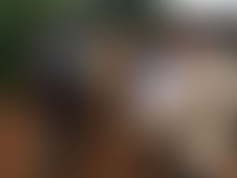 Consejo de Seguridad de la ONU en Colombia