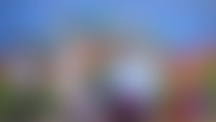 'Pinta tu voz': Minga muralista