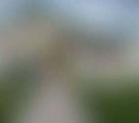 Preparing for a Harvest in Siguatepeque