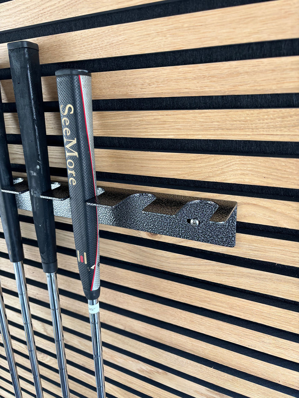 Thumbnail: PATRIOT PUTTER DISPLAY (PPD)