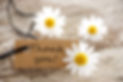 a natural looking banner with thank you and white blossoms as background