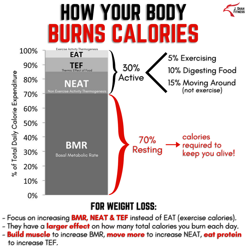 Fat Loss Simplified!