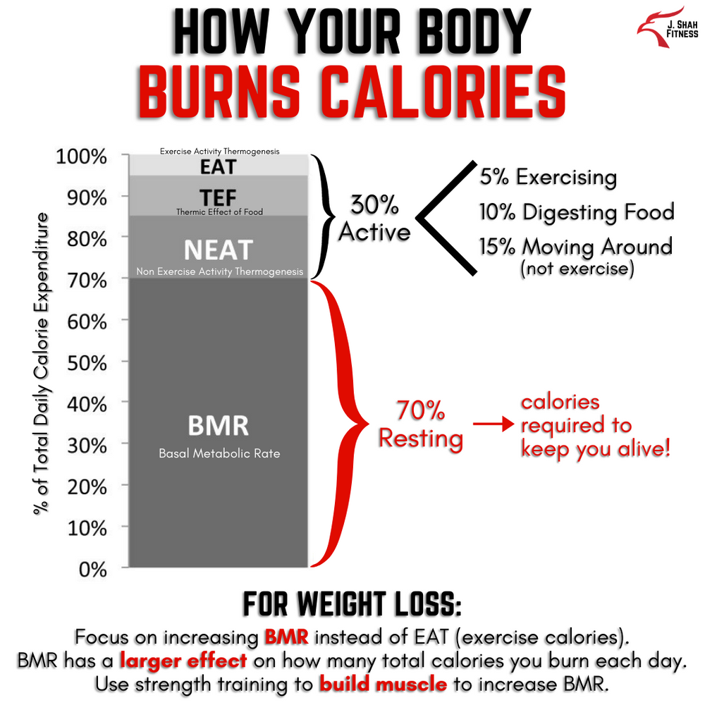 Your Ultimate Guide to Strength Training Part 2 Common Strength