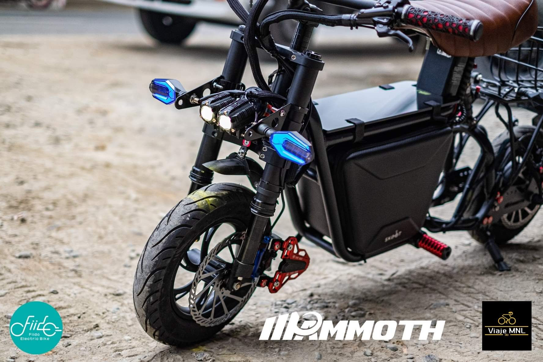 Fiido Q1S build sample 1