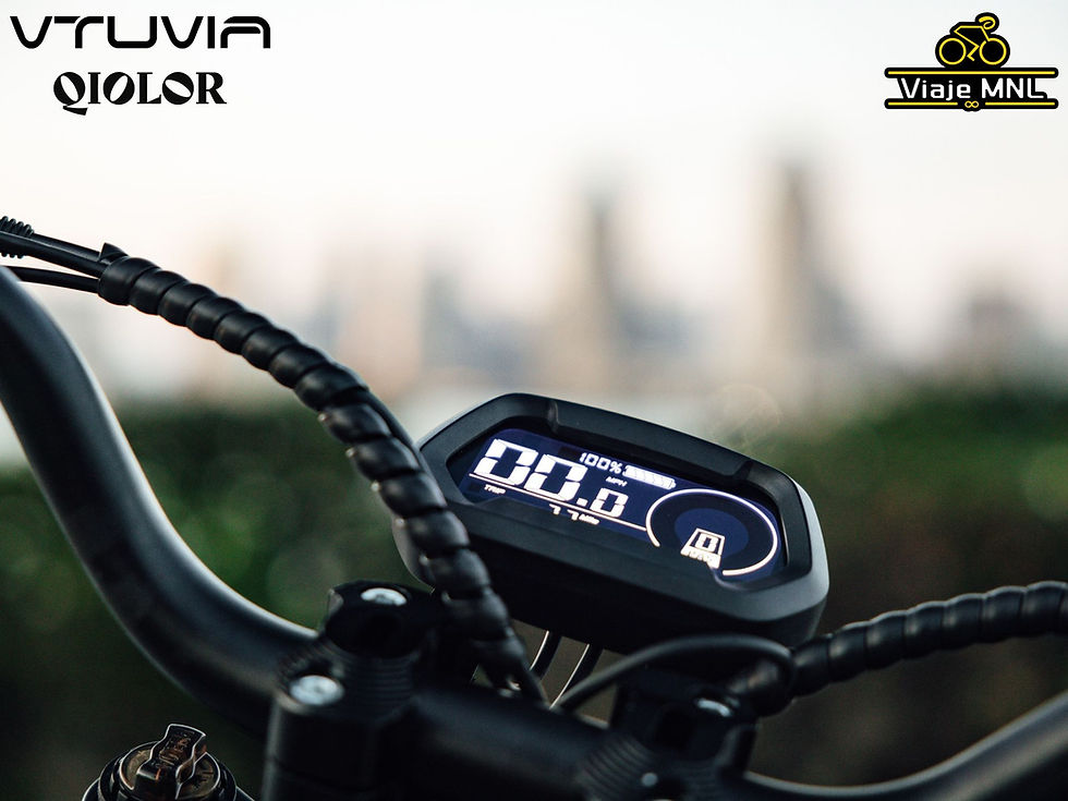 Thumbnail: Qiolor X Vtuvia Tiger