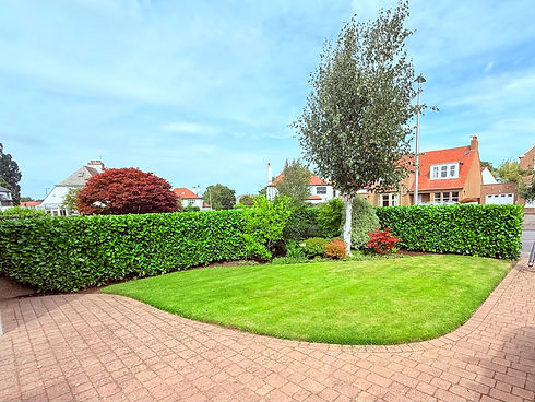 Aillen garden