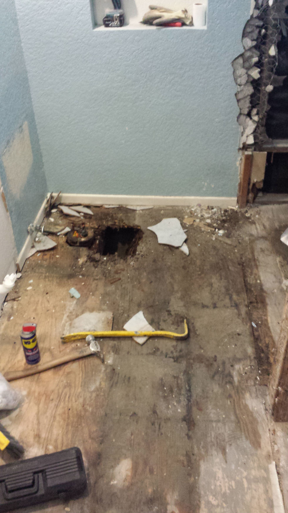 20140605_105955.jpg
