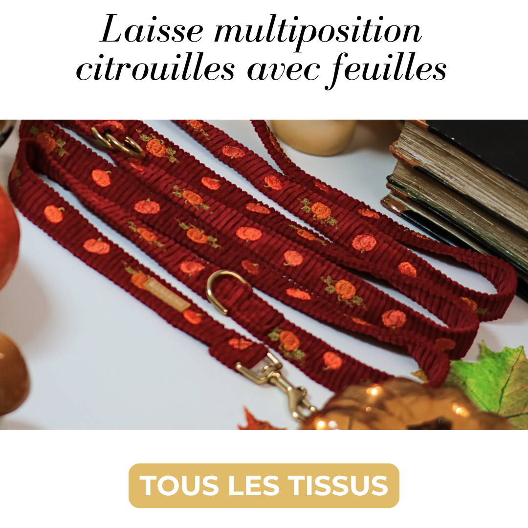 Laisse multiposition brodée citrouille avec feuille