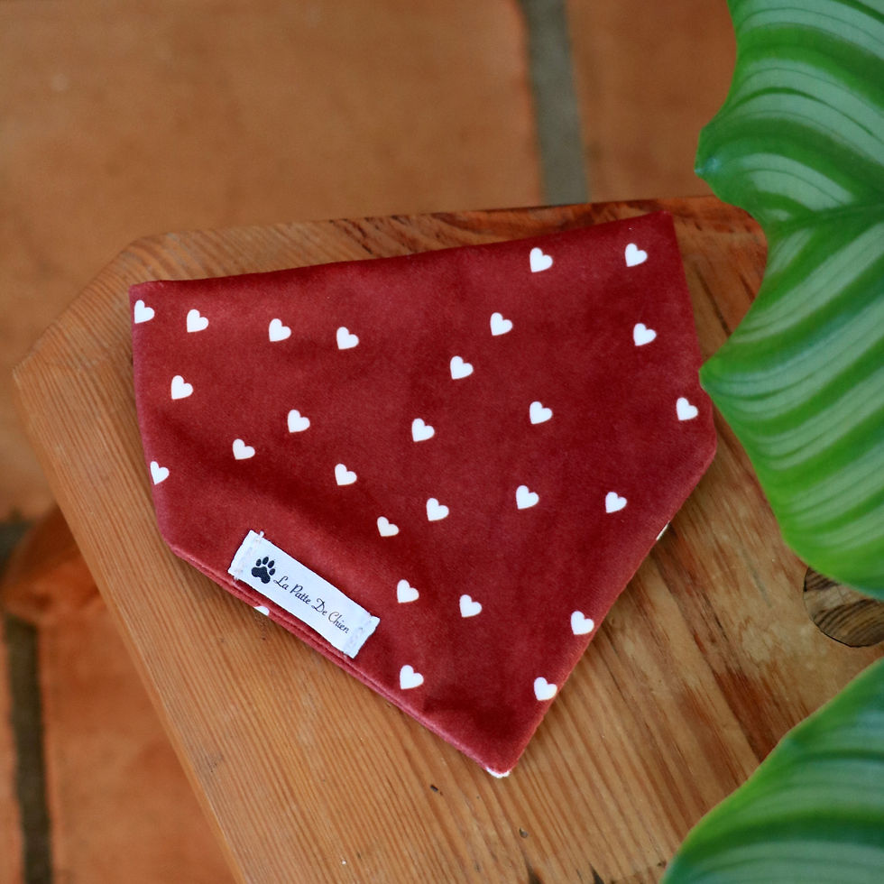 Bandanas pour chien Cœur bordeaux