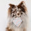 Miniature : Bandanas pour chien PULL