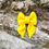Miniature : Noeud papillon pour chien jaune imperméable