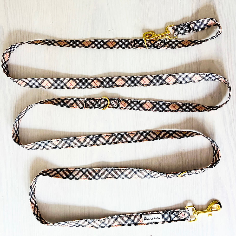 Laisse multiposition ÉLÉGANT