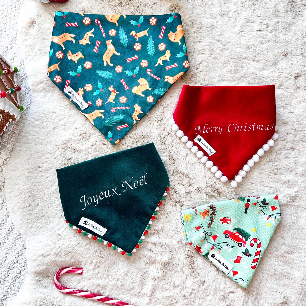 Bandanas pour chien M ET XS