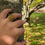 Thumbnail: Handmade 925k Sterling Silver Natural  Tiger Eye Stone Elegant Men's Ring