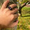 Thumbnail: 925k Sterling Silver Brilliant Cut Amethyst Zircon Elegant Men's Ring