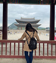 IMG_7433.jpeg