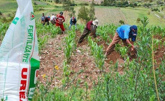 GOBIERNO AUTORIZA QUE EL PERÚ TENGA SU PROPIA PLANTA DE UREA