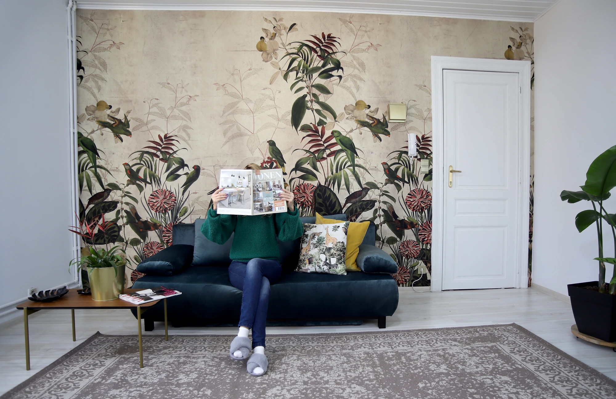 How To Bring Your Room To Life This is the transcript for go to your room, d.w. how to bring your room to life
