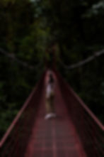 Person standing on a red hanging bridge in the Monteverde cloud forest.