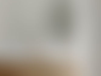 How to include Biophilic Design principles in your home