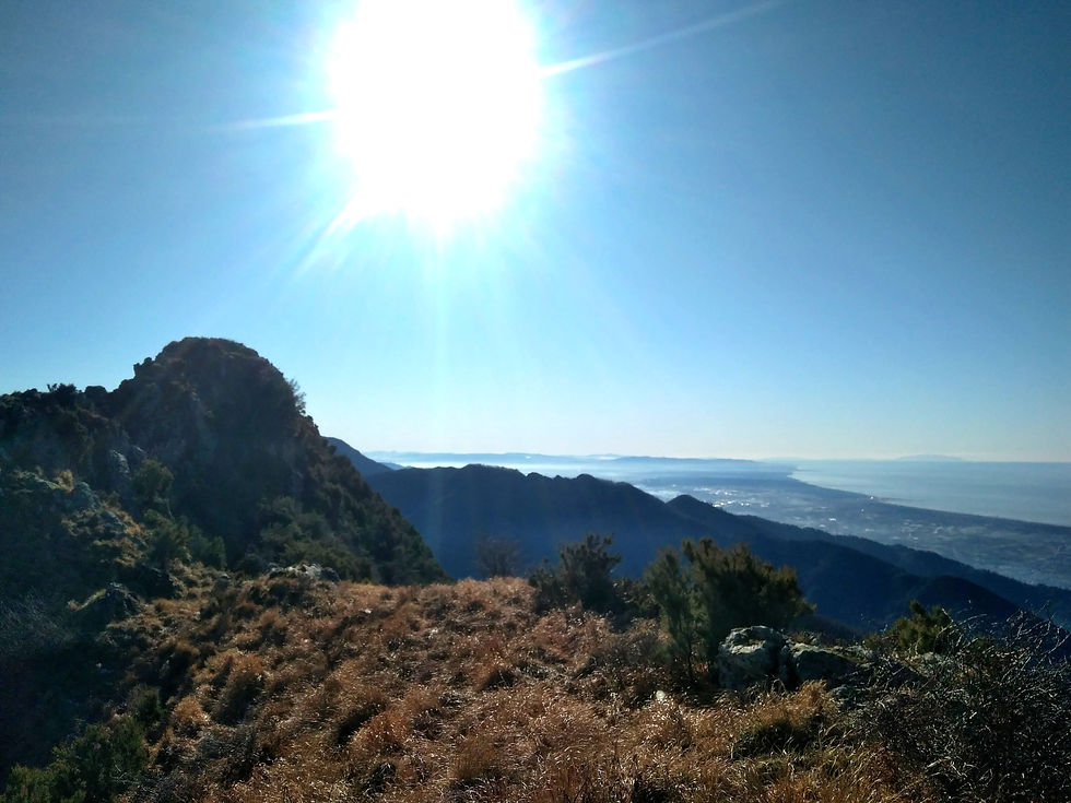 Il Cavallino di Azzano