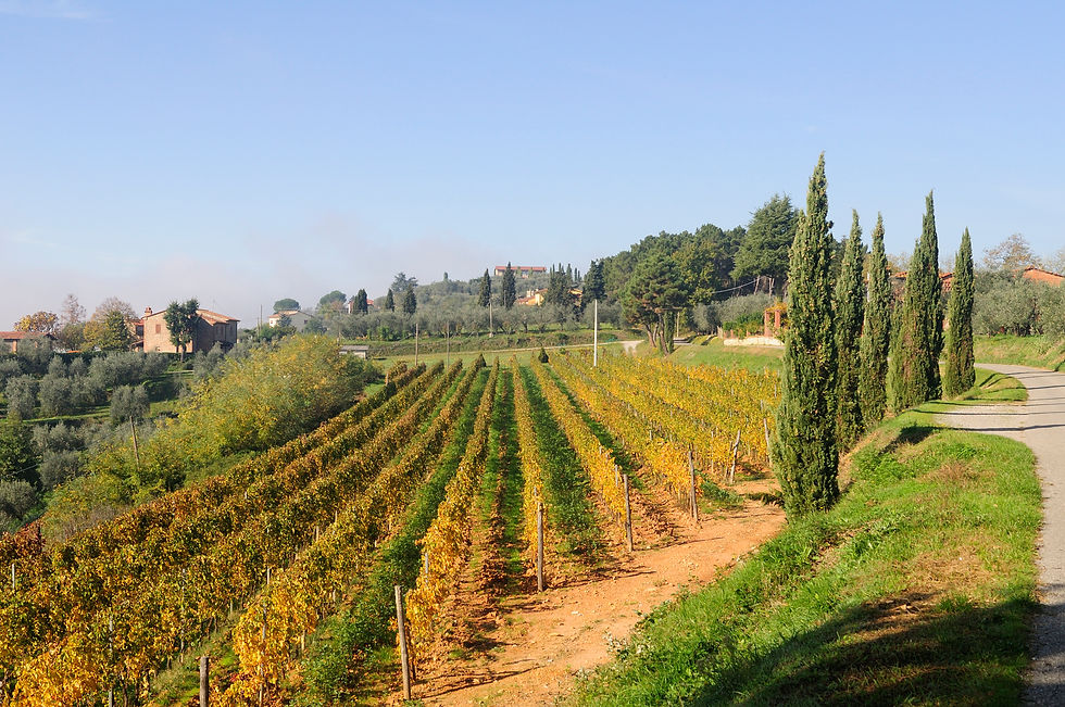 Montecarlo e i suoi sapori