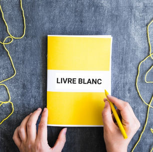 mains-livre-blanc-stylo