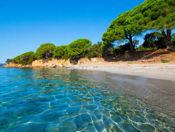 Palombaggia beach