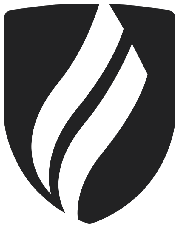 Logo TDEG black