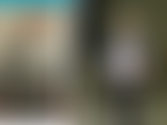 SAMI CHAHERLI - TUNISIE