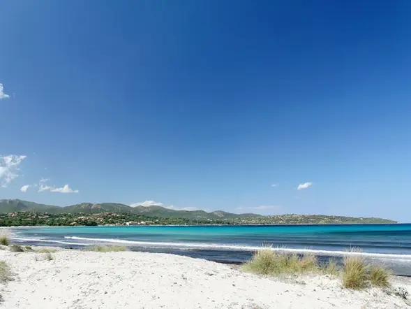 The beaches of Pinarello