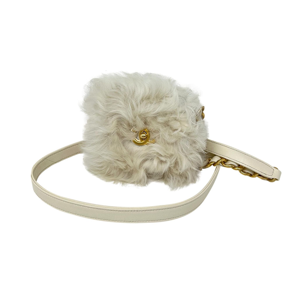 CHANEL Ivory Fur & White Leather Mini Shearling Bag
