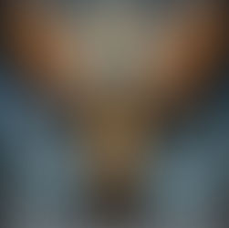 MEME: How Archangel Uriel Rolls; Divine Insights