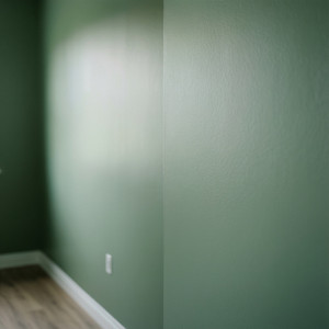 Residential Interior Painting Update
